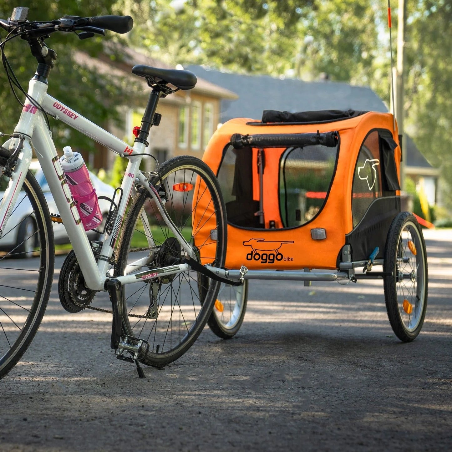 Dog trailer for Quadra Island eBike Rentals with Tom’s Rentals