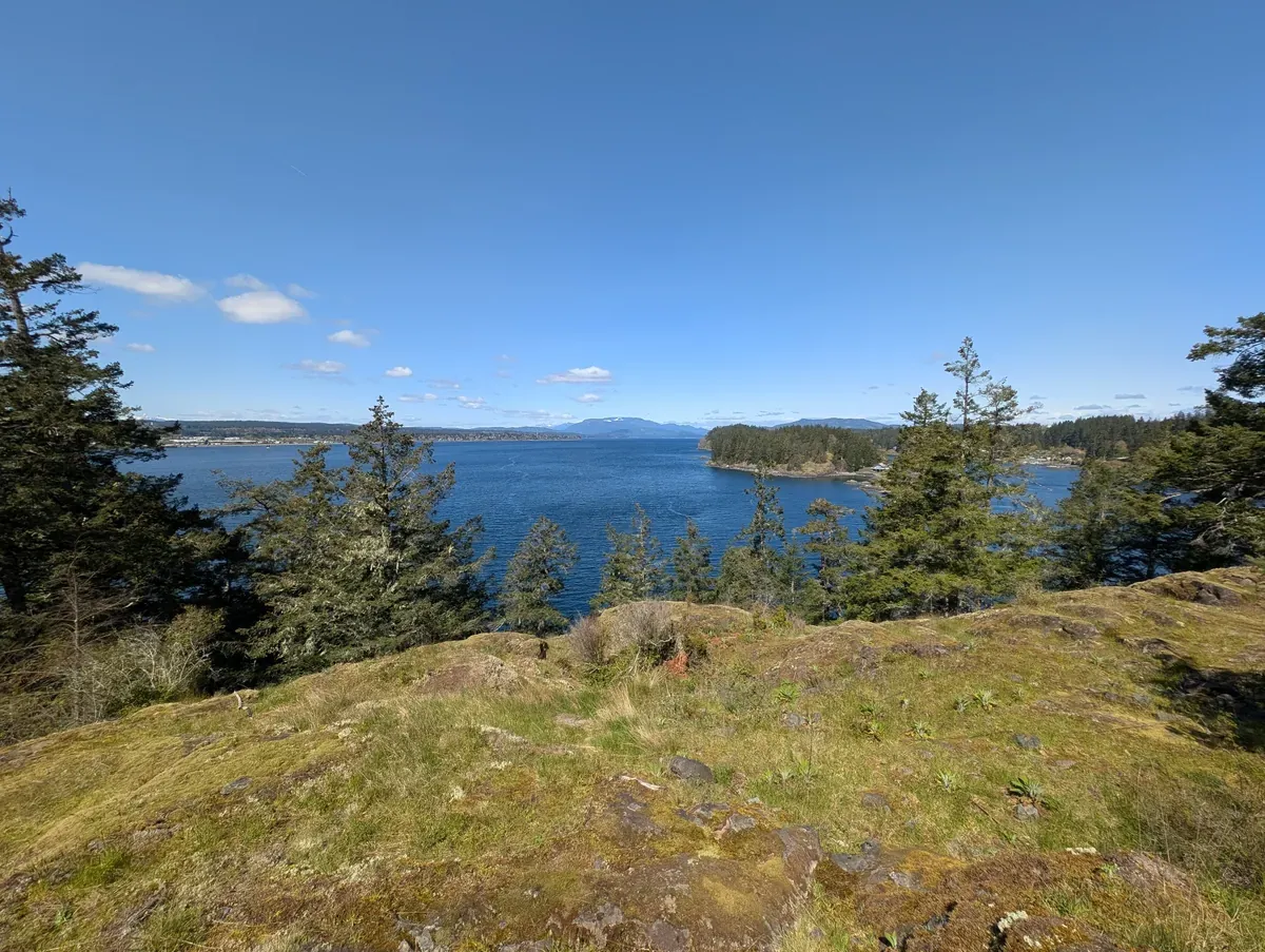 Easy way to explore Quadra Island — ocean views from the saddle