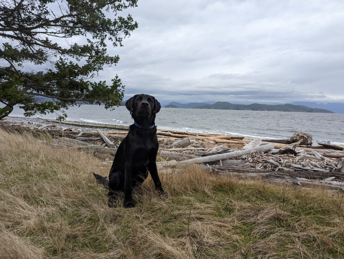 Rainy day activities on Quadra Island — rides are great in any weather