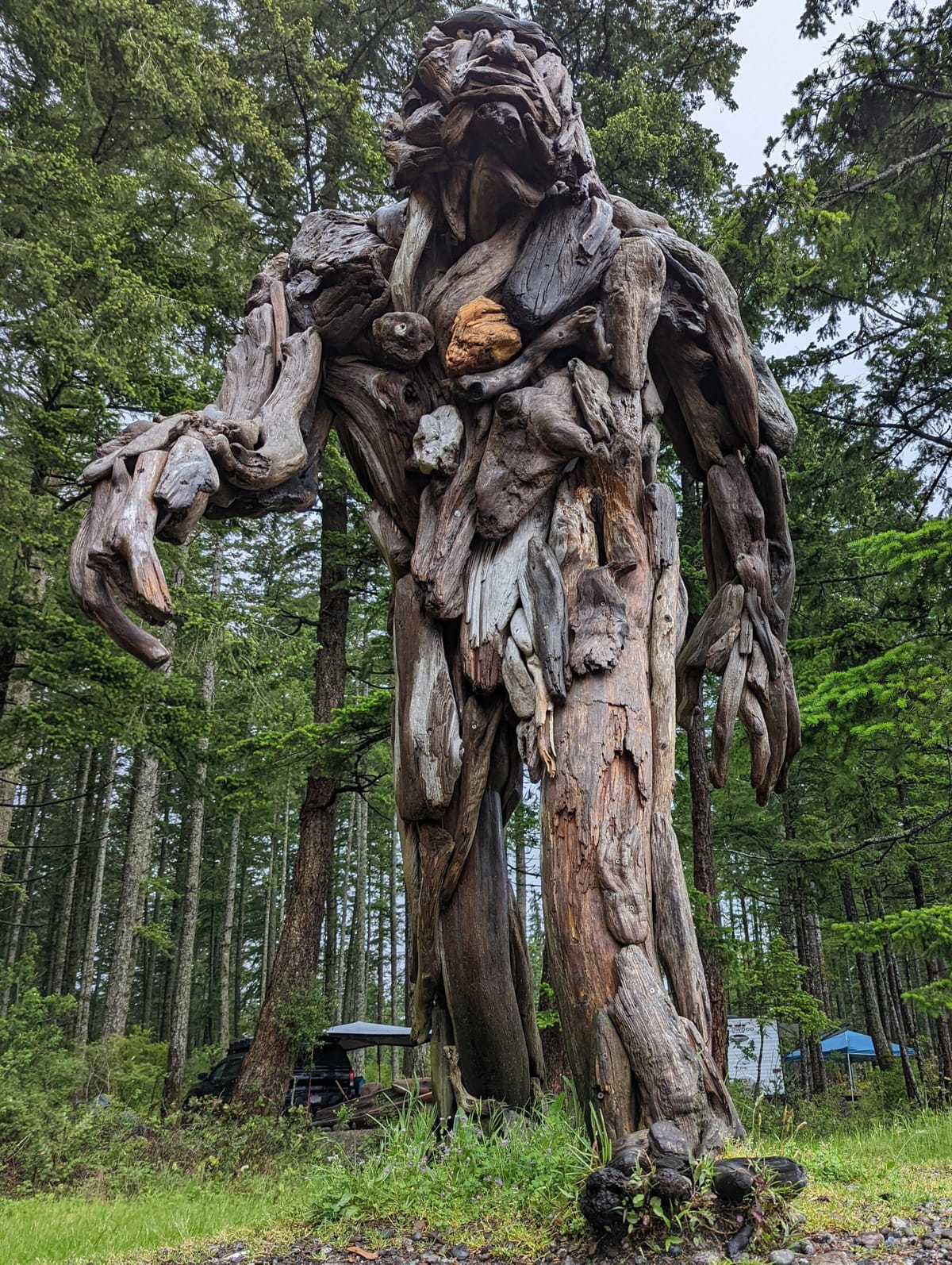 Hidden Sasquatch carving — fun things to find on Quadra Island